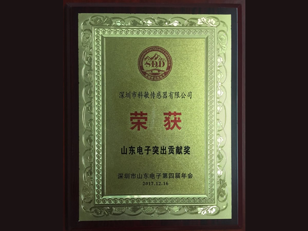 In 2017, Kemin Won The "Shandong Electronics Outstanding Contribution Award"